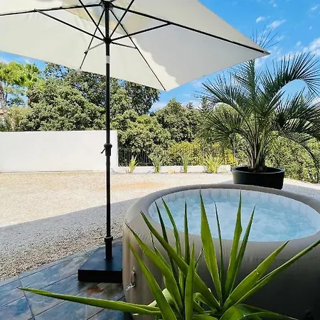 Villa Les Oliviers Spa Privatif Bandol Exterior photo